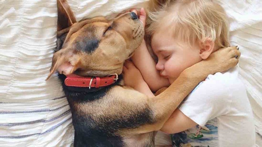 Dejar dormir a tu hijo con su mascota