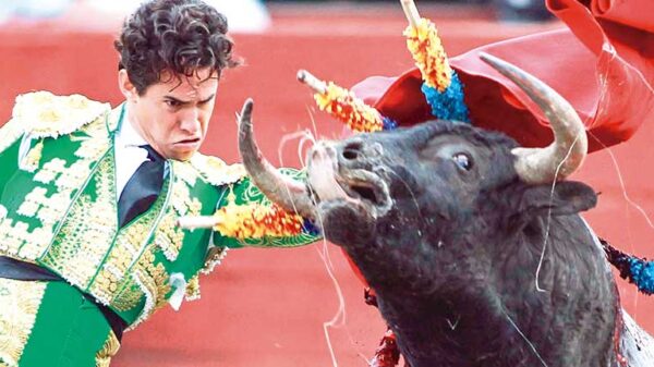 constitucionalidad de la corrida de toros