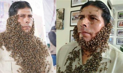 Apicultor Eusebio Pinto cubierto de abejas en Sucre, Bolivia, transmitiendo un mensaje viral sobre la protección del medioambiente y la polinización.