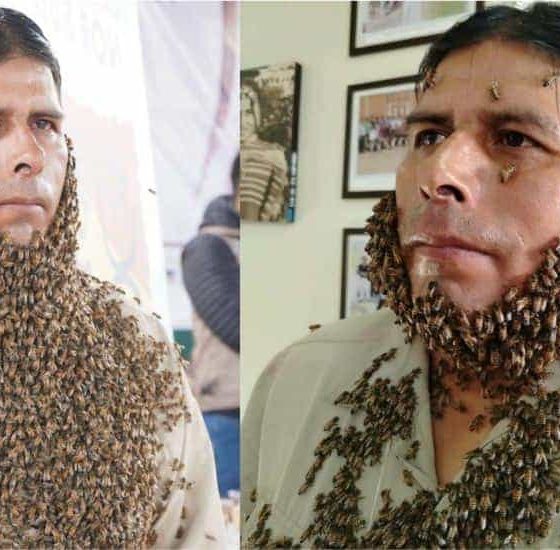 Apicultor Eusebio Pinto cubierto de abejas en Sucre, Bolivia, transmitiendo un mensaje viral sobre la protección del medioambiente y la polinización.