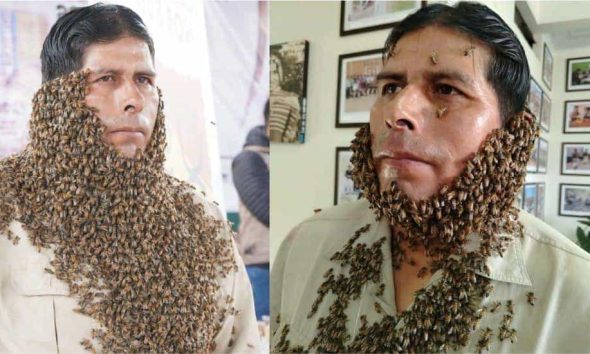 Apicultor Eusebio Pinto cubierto de abejas en Sucre, Bolivia, transmitiendo un mensaje viral sobre la protección del medioambiente y la polinización.