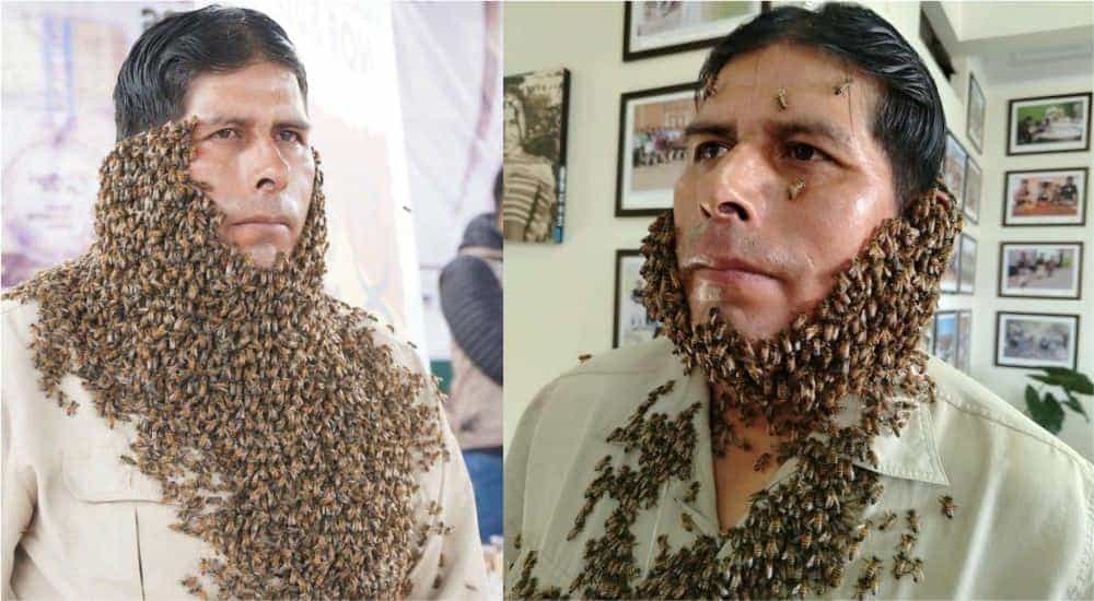 Apicultor Eusebio Pinto cubierto de abejas en Sucre, Bolivia, transmitiendo un mensaje viral sobre la protección del medioambiente y la polinización.